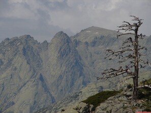 Oklassificerad bild, 2 av 27, knapp
