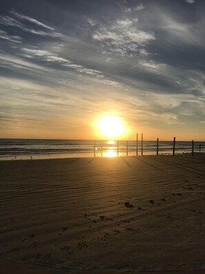 sunrise from the beach