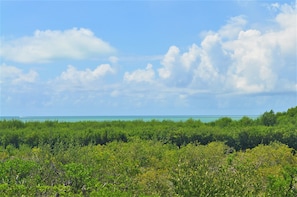 View from the balcony