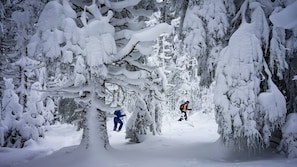 Snow and ski sports