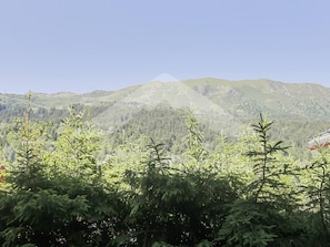 Summer view