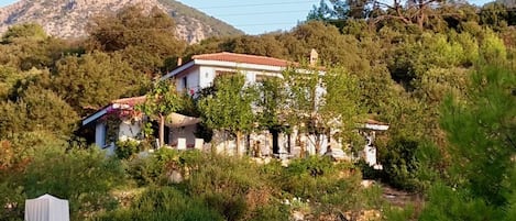 A view of The Lazy Olive / Tembel Zeytin from the Yembe Sokak (St) below.