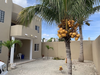 Casa Canukatan - Una villa moderna de playa mexicana