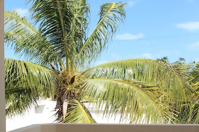 Casa Canukatan - Una villa moderna de playa mexicana