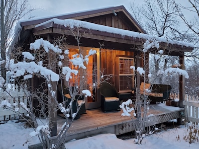 Historic Virginia City Guest Cabin (Entire Guest House)