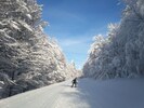Piste de ski nordique sur la route des crêtes 