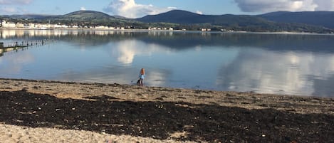 Carlingford Lough view, 5 minute walk from the house.   