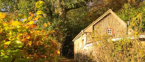 The Writer's Cottage