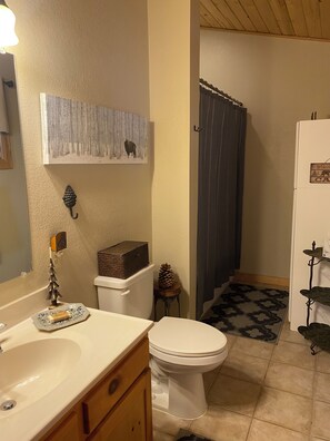 Primary bathroom