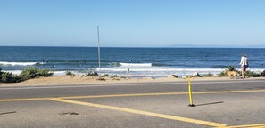 Surf's up