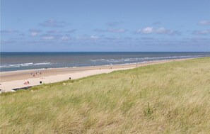 area