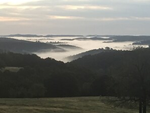 Oklassificerad bild, 3 av 50, knapp