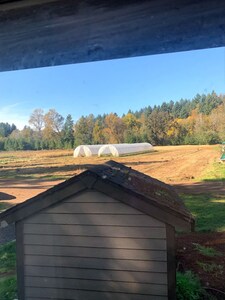 Tiny Farm House On Vegetable Farm with Playground!