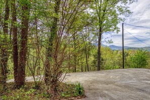 Smoky Mountain Pet Friendly Cabin - Cedar Lodge - Driveway with view