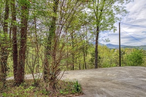 Smoky Mountain Pet Friendly Cabin - Cedar Lodge - Driveway with view