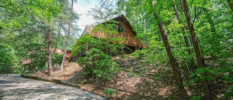 Pigeon Forge Pet Friendly Cabin - Cedar Lodge