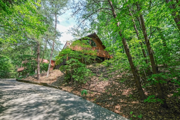 Pigeon Forge Pet Friendly Cabin - Cedar Lodge