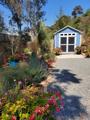 Lush and beautiful flowers and native plants.