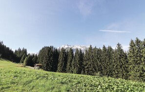 view-from-room