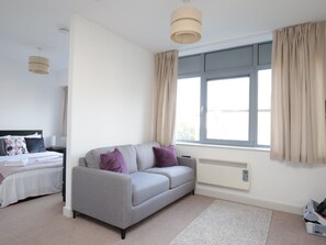 Living room/sofa bed - behind is the master bed 