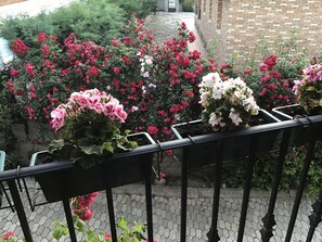 Boendeområde