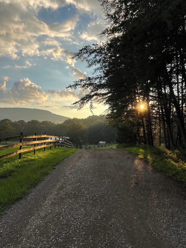 Sunset from the end of our driveway.