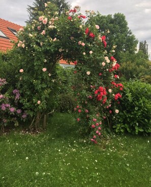 Boendeområde