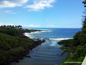 Studio oceanfront view features sea turtles, surf sounds, sunrises, trade winds