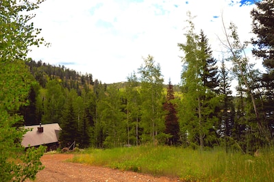 Lakeside Adventurer's Cabin