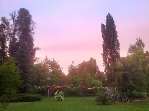 Roses blooming in Spring. Beautiful Pirque sunset.