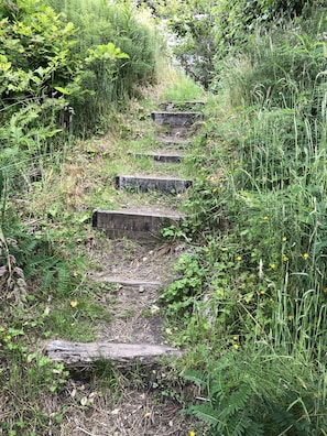 About 7 uneven rustic steps leading to the beach.