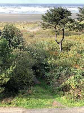 Terrain de l’hébergement 