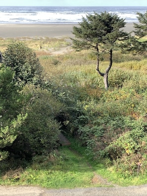 Beach access trail just across the private road; just 60 steps to the beach!