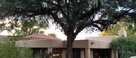 Our giant mesquite provides ambience but lets the southern sun shine on the spa🥰