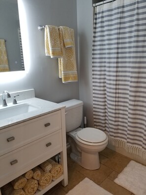 Master bath room