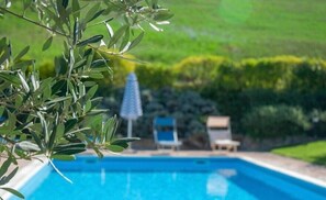 Swimming pool at Colle Arponi