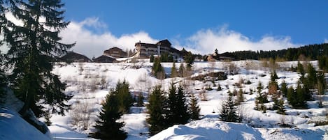 Snow and ski sports