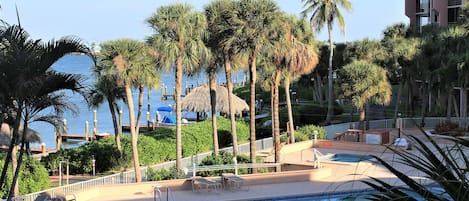 Marco River and Pool View from your private screened lanai