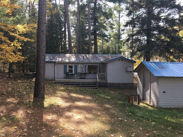 Cabin from yard