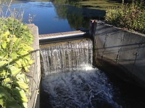 Our spring water water-fall is the heart of Silver Springs.