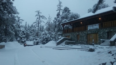 Cabin 6 studio queen at Historic SnowCrest Lodge 
