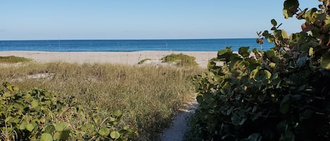 Spiaggia