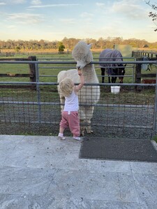 Farm Stay with Alpacas