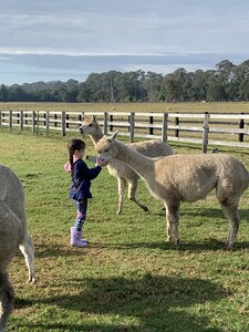 Farm Stay with Alpacas