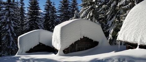 Desportos de neve e esqui