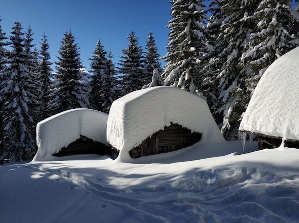 Skidåkning och snöaktiviteter