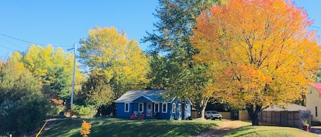 Beautiful mature trees and long driveway lead to our cottage.