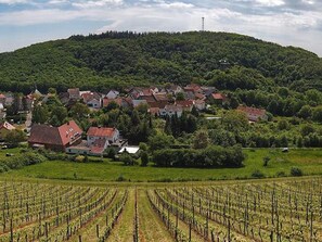 Weingut und Ferienappartement Erbacher Hof