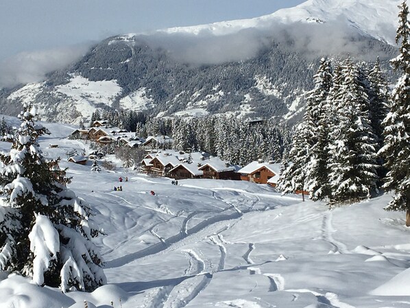 Snow and ski sports