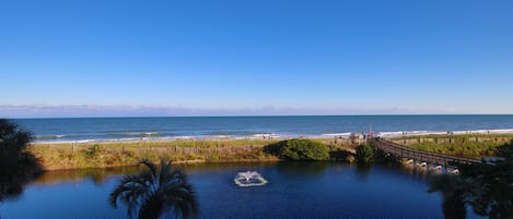 Vista da propriedade